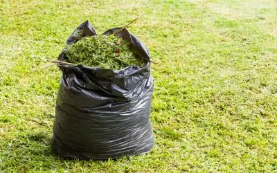 How do you get rid of your garden waste?